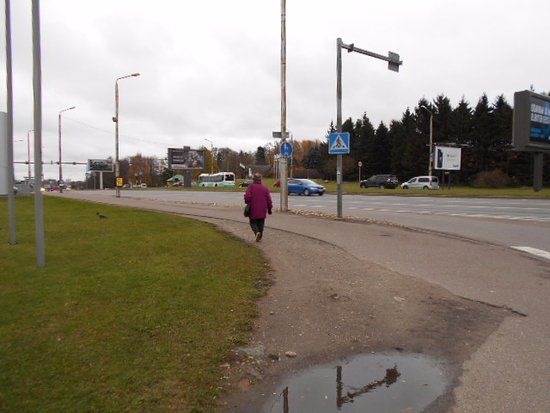 Estonian Open Air Museum